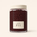 CozyBead F11 MARD single-color fuse beads in a premium clear jar